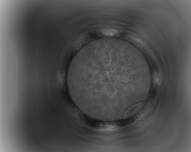 X0000090410559200707201102