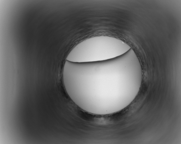 X0000090410561200707201102