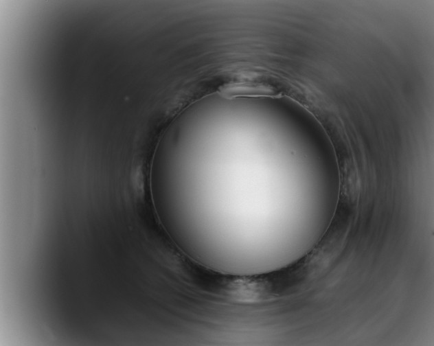 X0000090410562200707201102