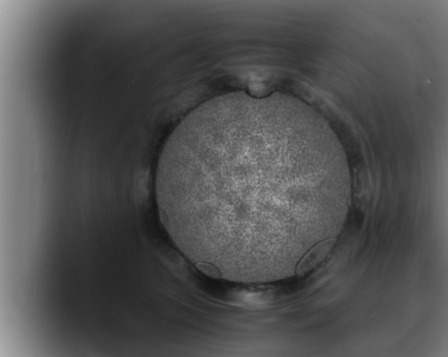 X0000090410563200707201102