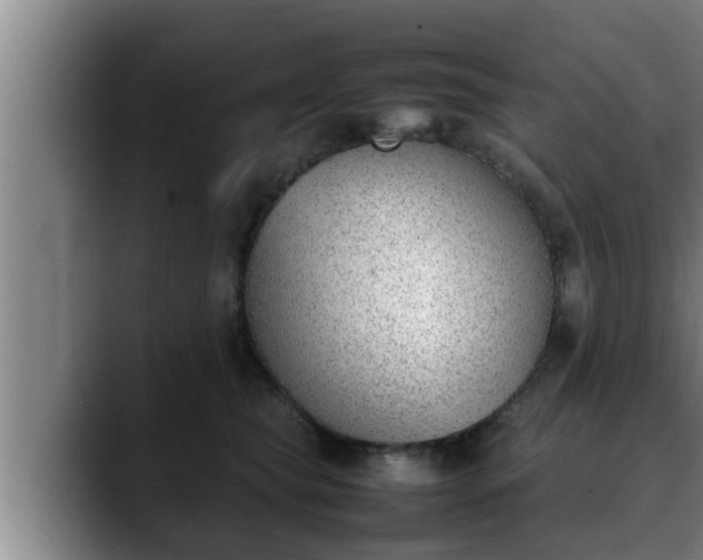 X0000090410565200707201102