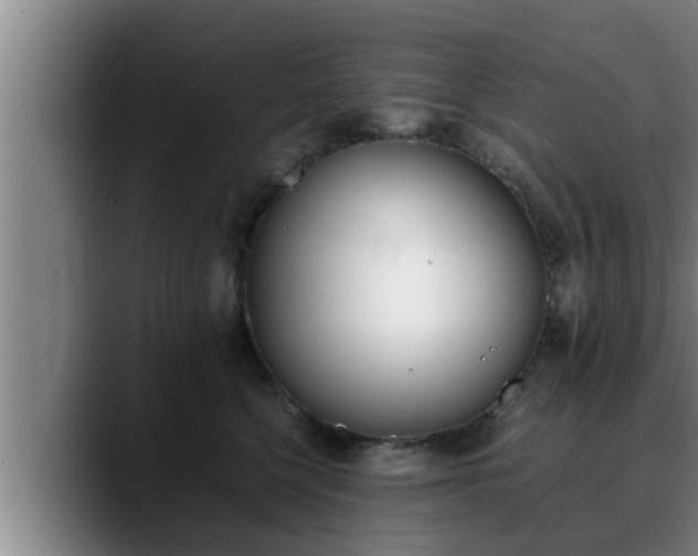 X0000090410568200707201102