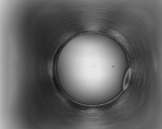 X0000090410578200707201102