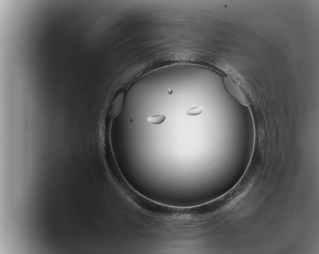 X0000090410581200707201102
