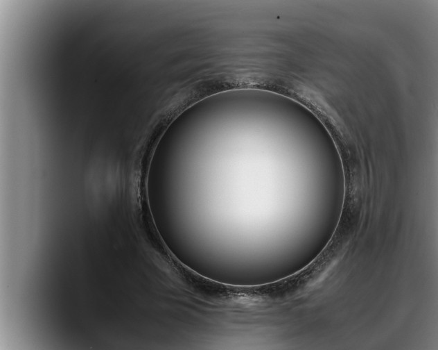 X0000090410585200707201102