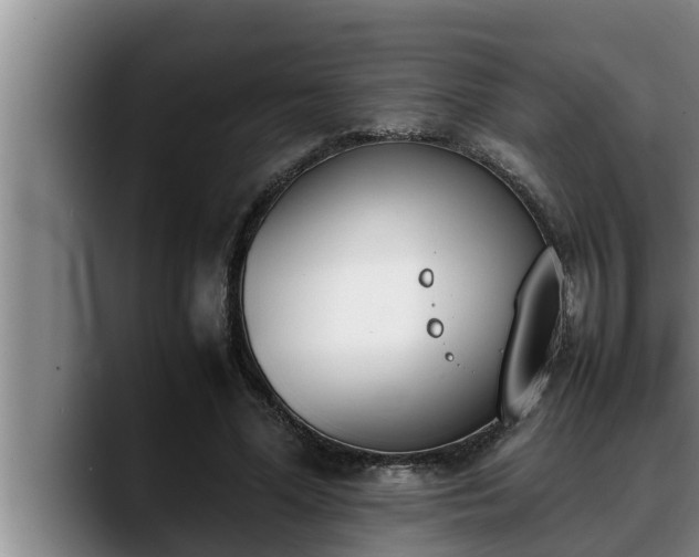 X0000090410588200707201102