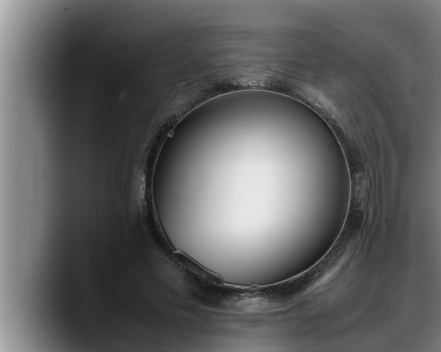 X0000090410589200707201102