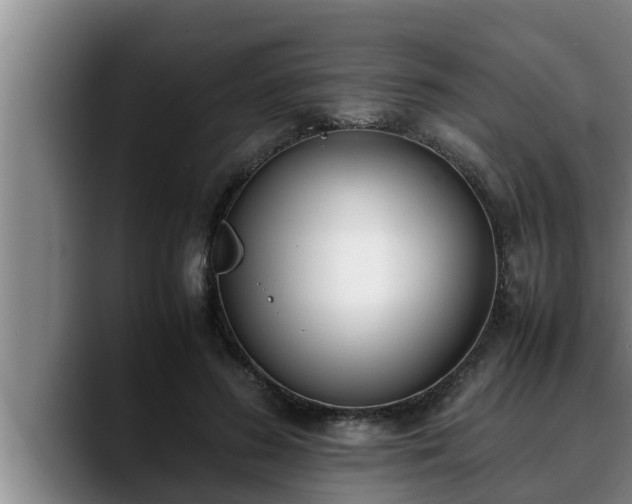 X0000090410596200707201102