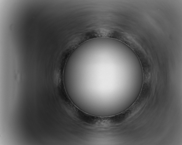 X0000090410599200707201101