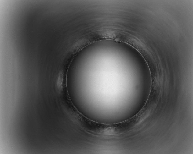 X0000090410600200707201101