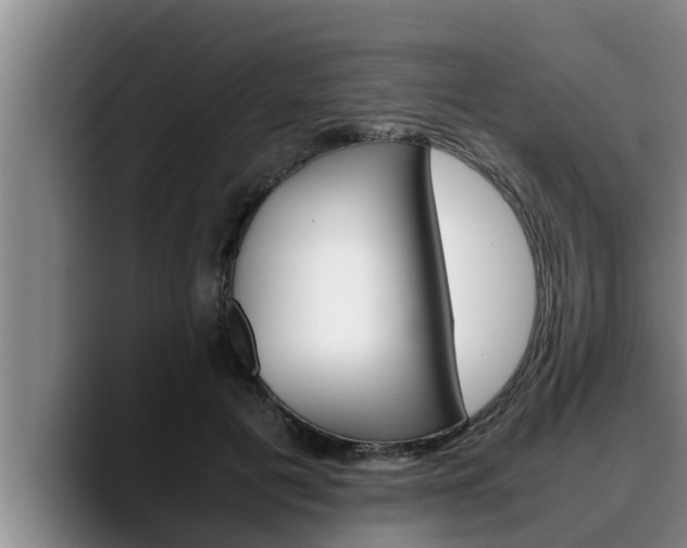 X0000090410601200707201101