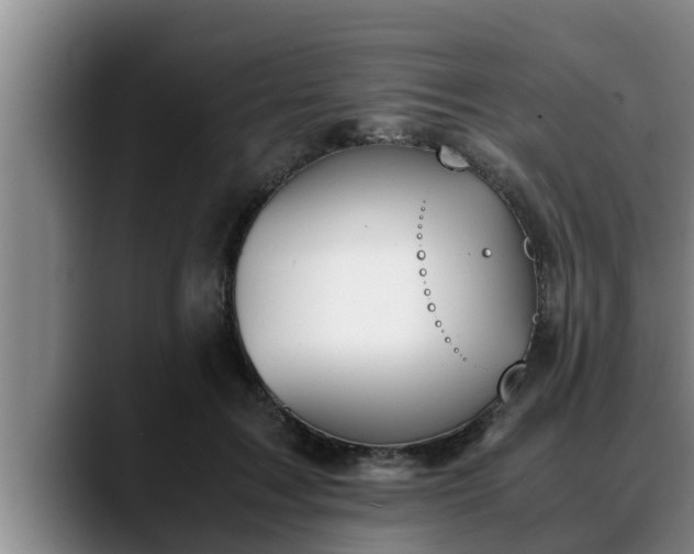 X0000090410603200707201101