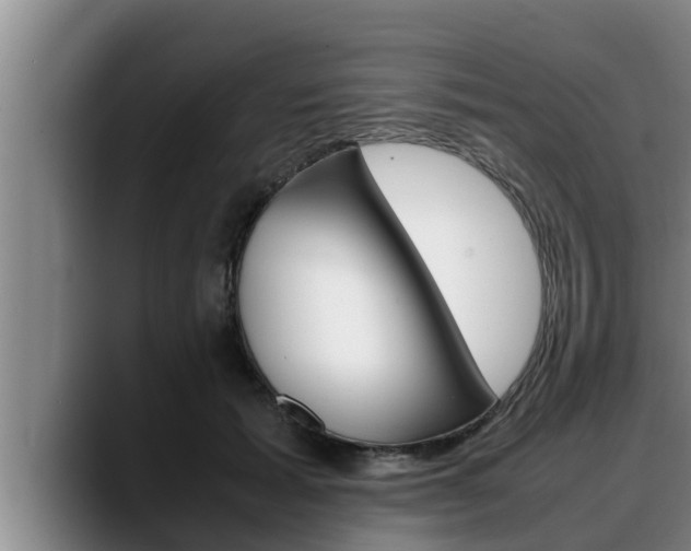 X0000090410605200707201101