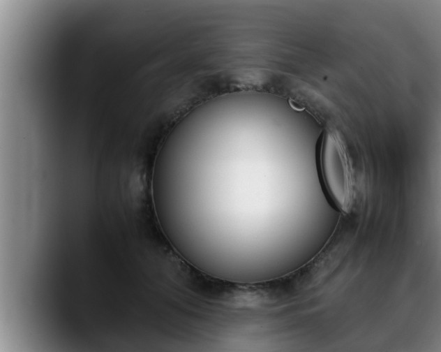 X0000090410608200707201101