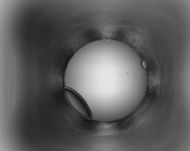 X0000090410613200707201101