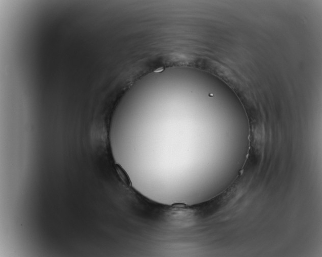 X0000090410617200707201101