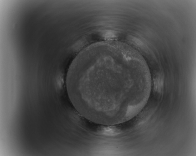 X0000090410618200707201101