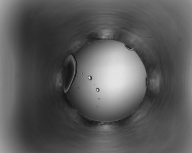 X0000090410620200707201101