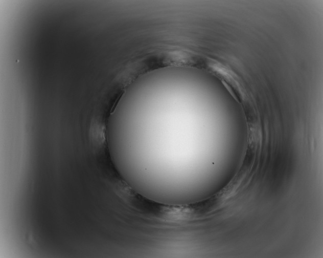 X0000090410621200707201101
