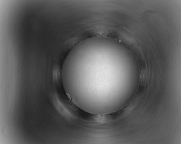 X0000090410623200707201101