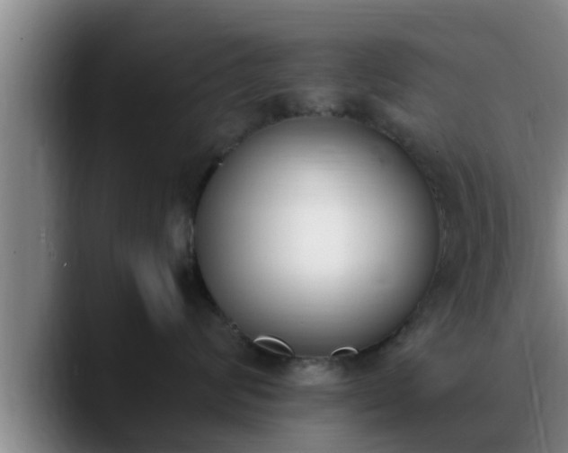 X0000090410624200707201101