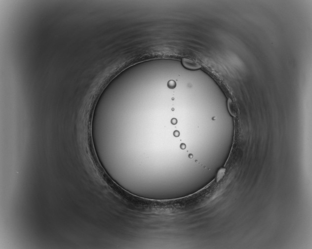 X0000090410625200707201101