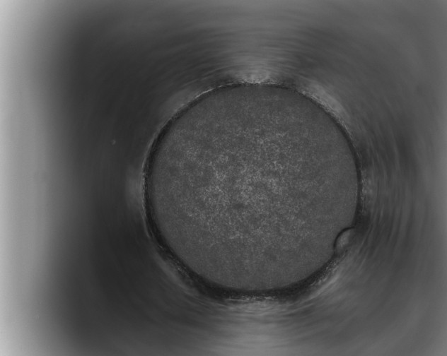 X0000090410626200707201101