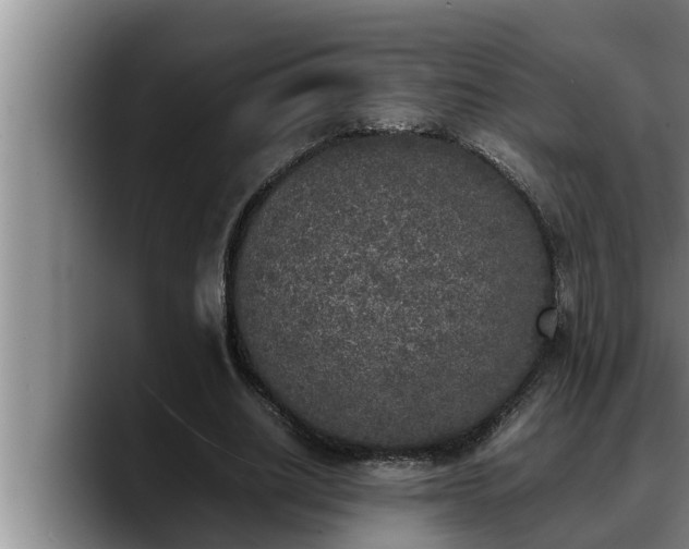 X0000090410630200707201101