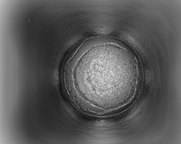 X0000090410634200707201101
