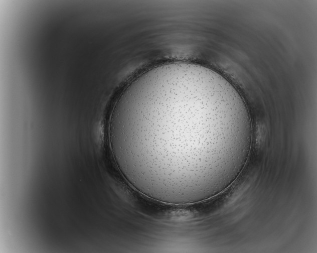 X0000090410636200707201101