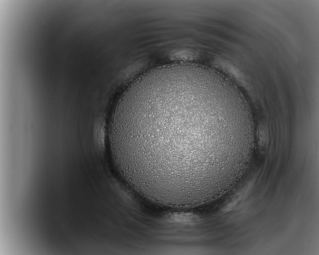 X0000090410637200707201101