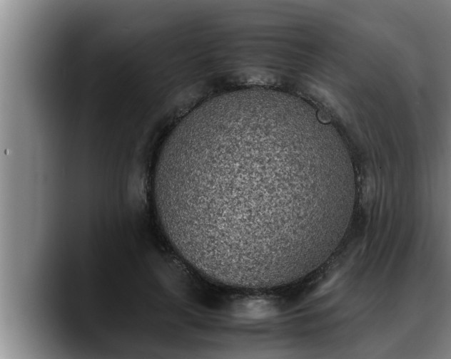 X0000090410643200707201101