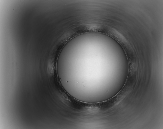 X0000090410644200707201101