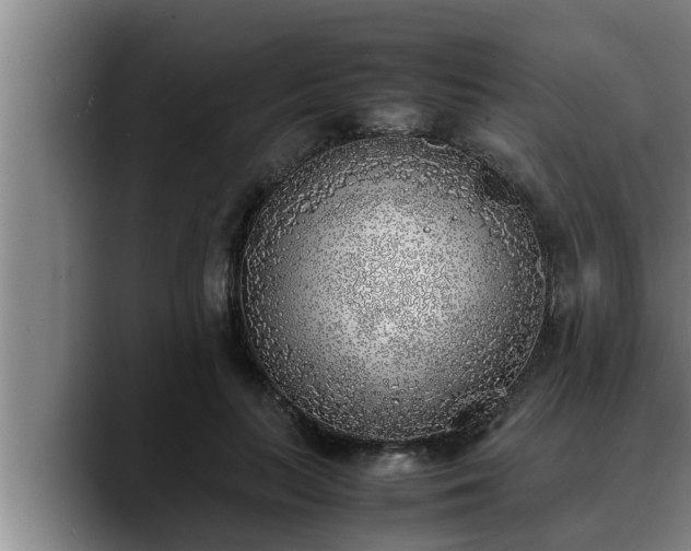 X0000090410647200707201101