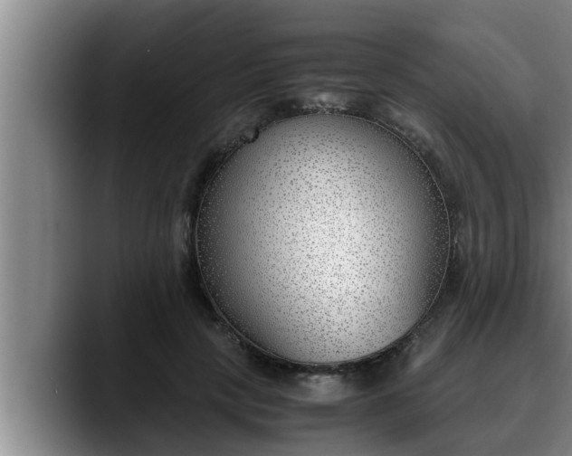 X0000090410649200707201101