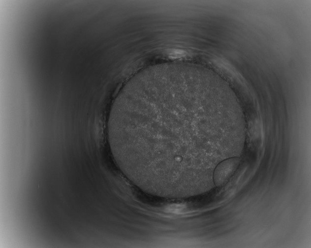 X0000090410653200707201101