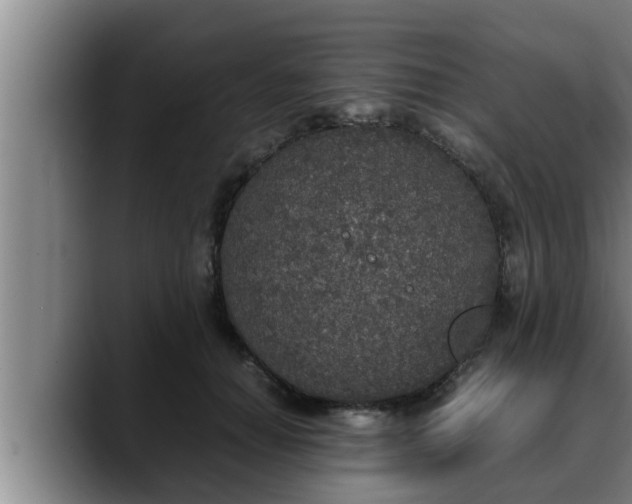 X0000090410654200707201101