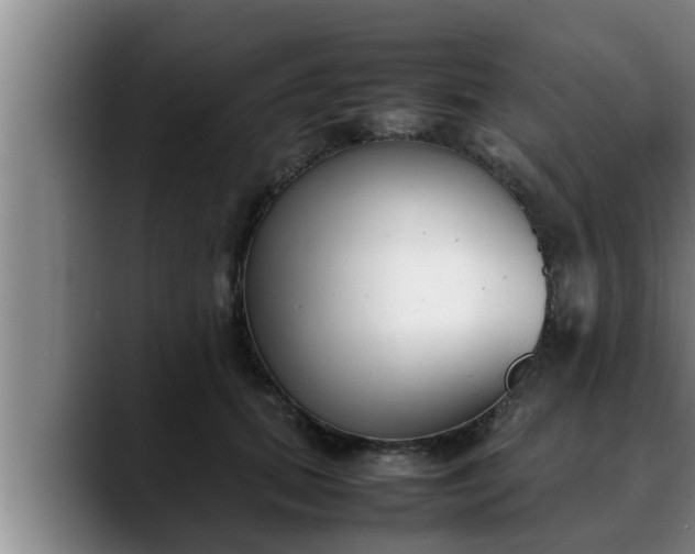 X0000090410655200707201101