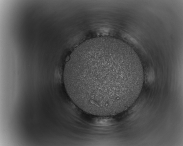 X0000090410661200707201101