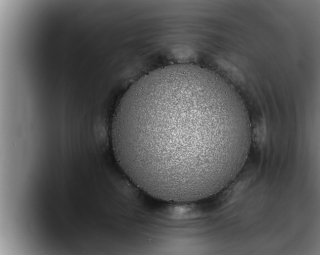 X0000090410662200707201101