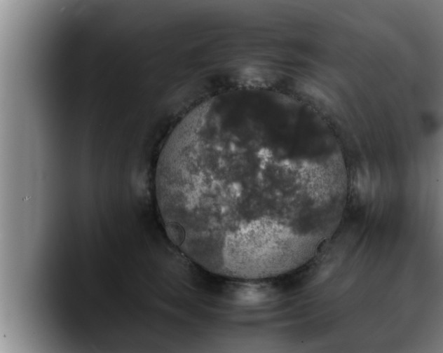 X0000090410663200707201101