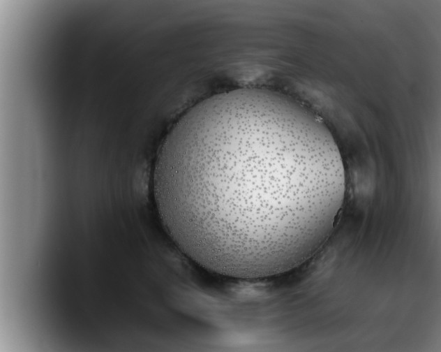 X0000090410664200707201101