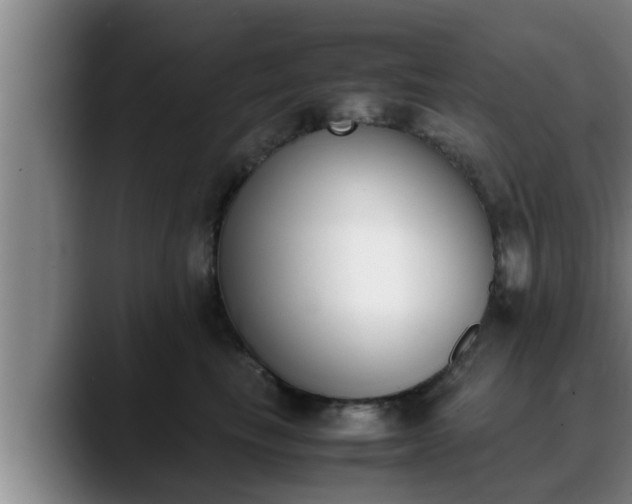 X0000090410665200707201101