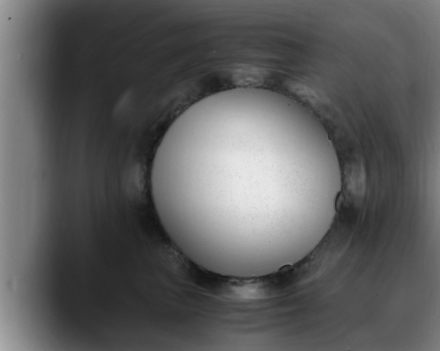 X0000090410667200707201101