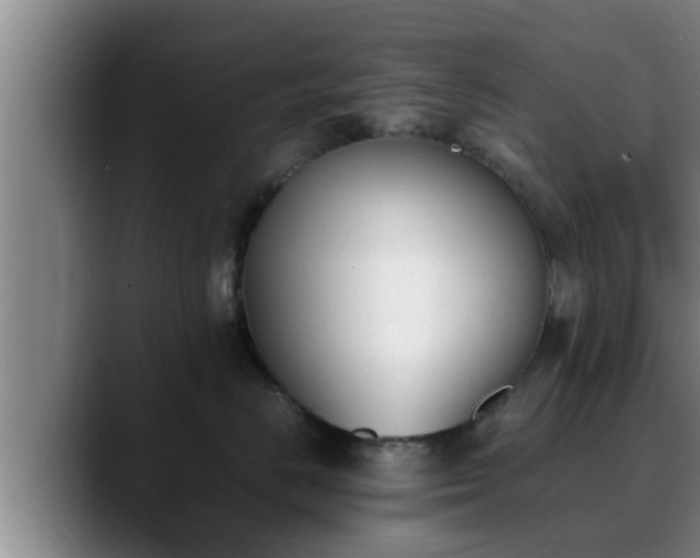X0000090410670200707201101