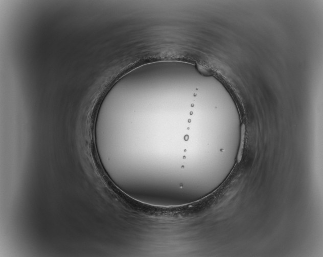 X0000090410673200707201101