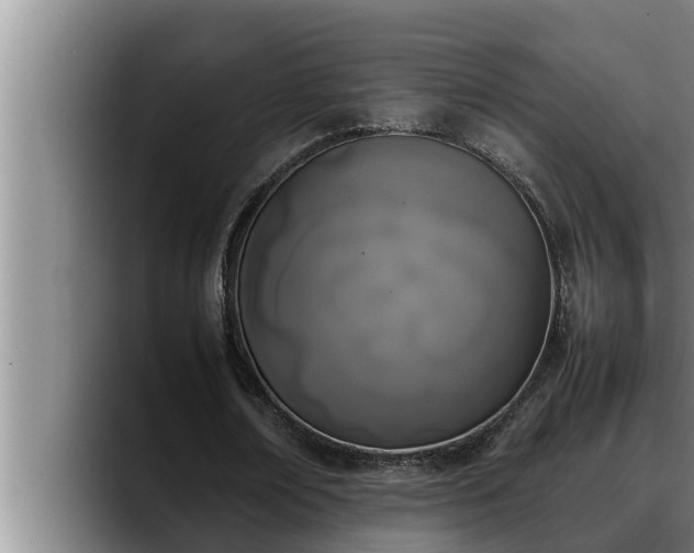 X0000090410674200707201101