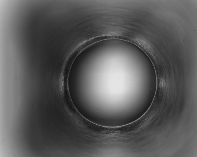 X0000090410676200707201101