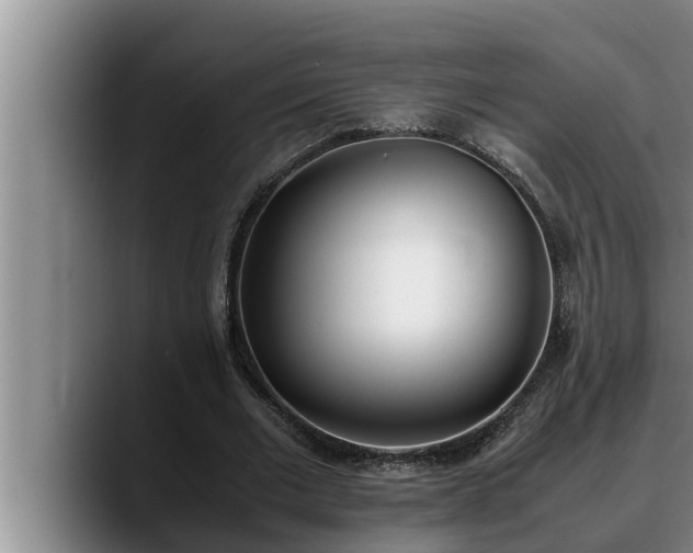 X0000090410677200707201101
