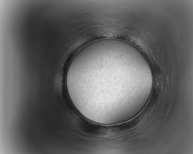 X0000090410679200707201101
